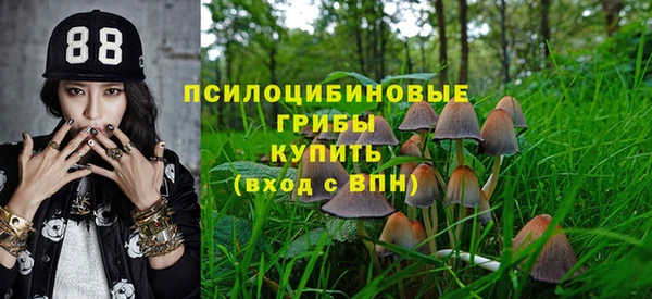 ECSTASY Наволоки